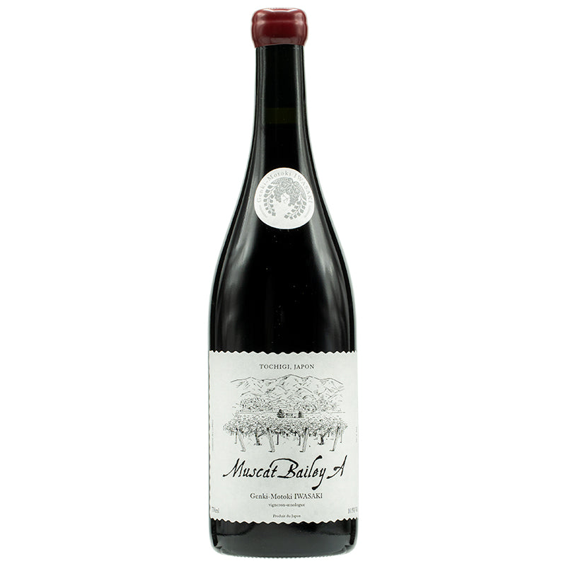 岩﨑元気 マスカット・ベリーA 2024 | THE CELLAR online store