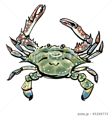 ガザミ（ワタリガニ）」の手書きイラスト（筆書き墨絵風）のイラスト