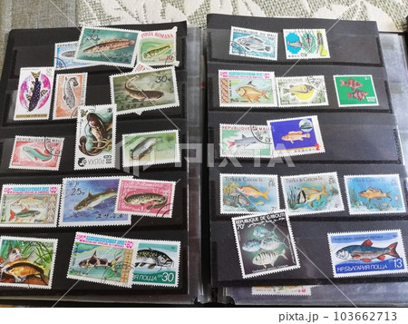 切手収集2の写真素材 [103662713] - PIXTA