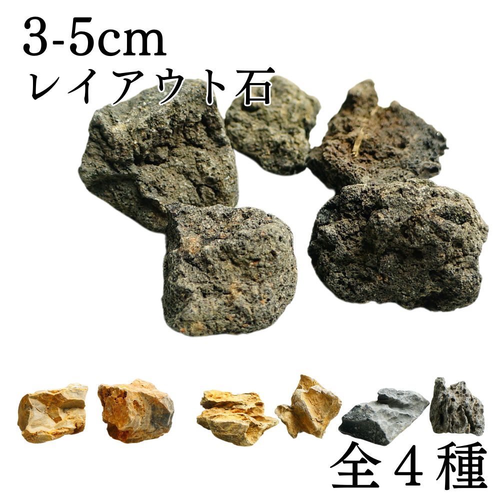 楽天市場】全4種 3-5cm 5個 溶岩石 気孔石 木化石 青龍石 飾り石 超