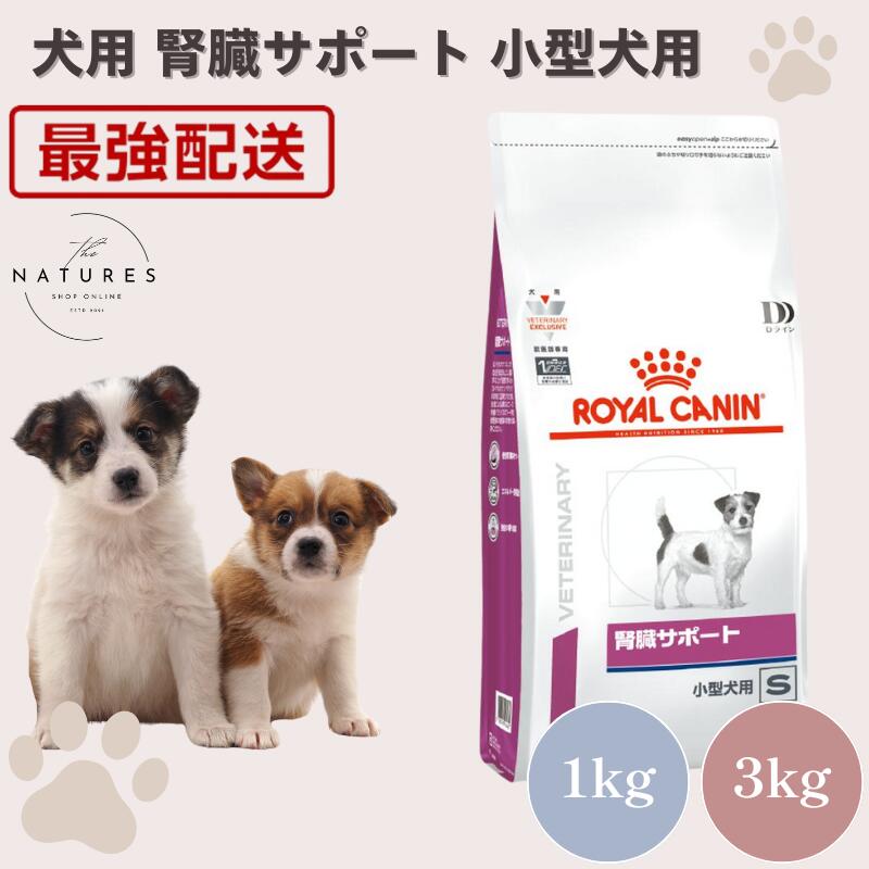 ロイヤルカナン 腎臓サポート 3kg 犬用健康管理用品」の人気商品一覧