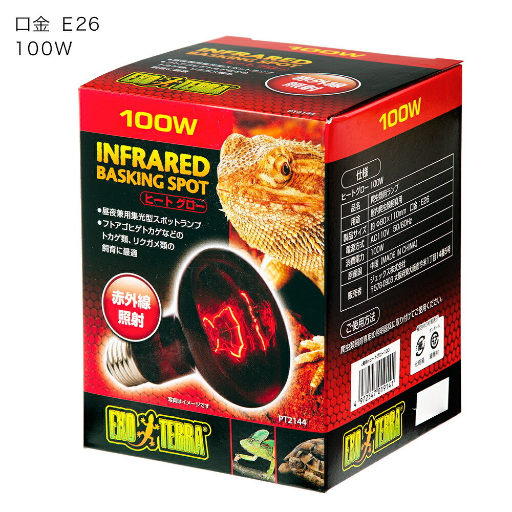 楽天市場】フトアゴヒゲトカゲ飼育セット （90cmケージ対応） 乾燥