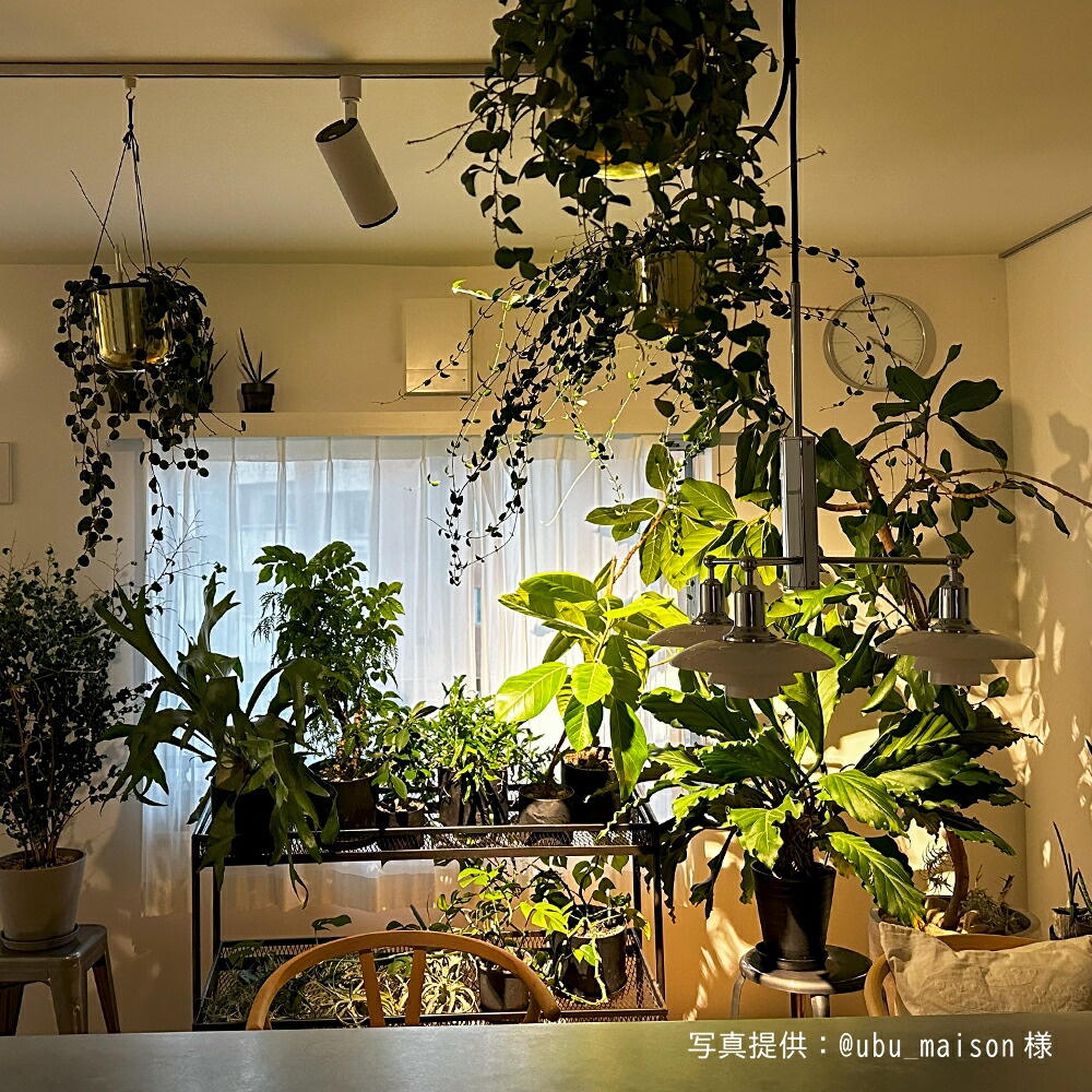 楽天市場】【BARREL公式】HADES-85-20W スポットライト ダウンライト