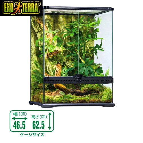 楽天市場】GEX グラステラリウム 4560 爬虫類 飼育 ケージ ガラス