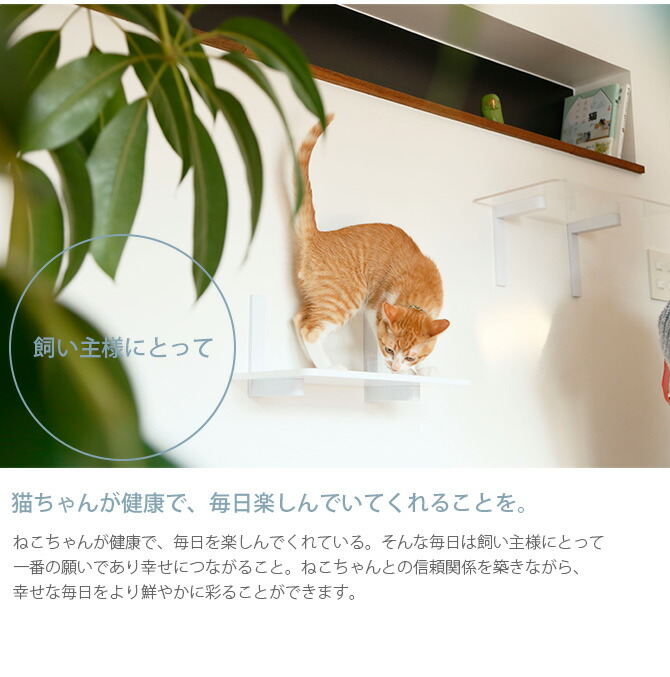 楽天市場】キャットステップ animacolle アニマコレ Catroad+ コーナー