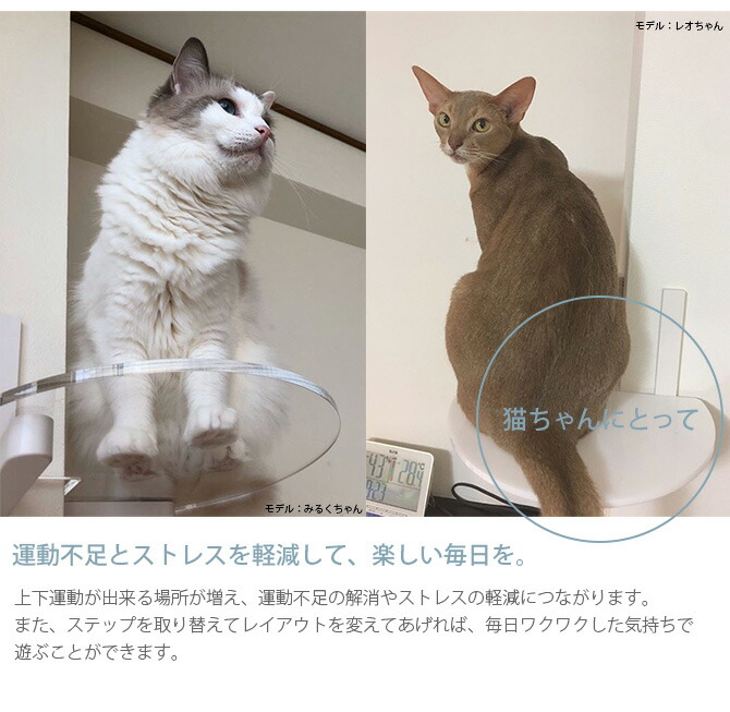 楽天市場】キャットステップ animacolle アニマコレ Catroad+ コーナー