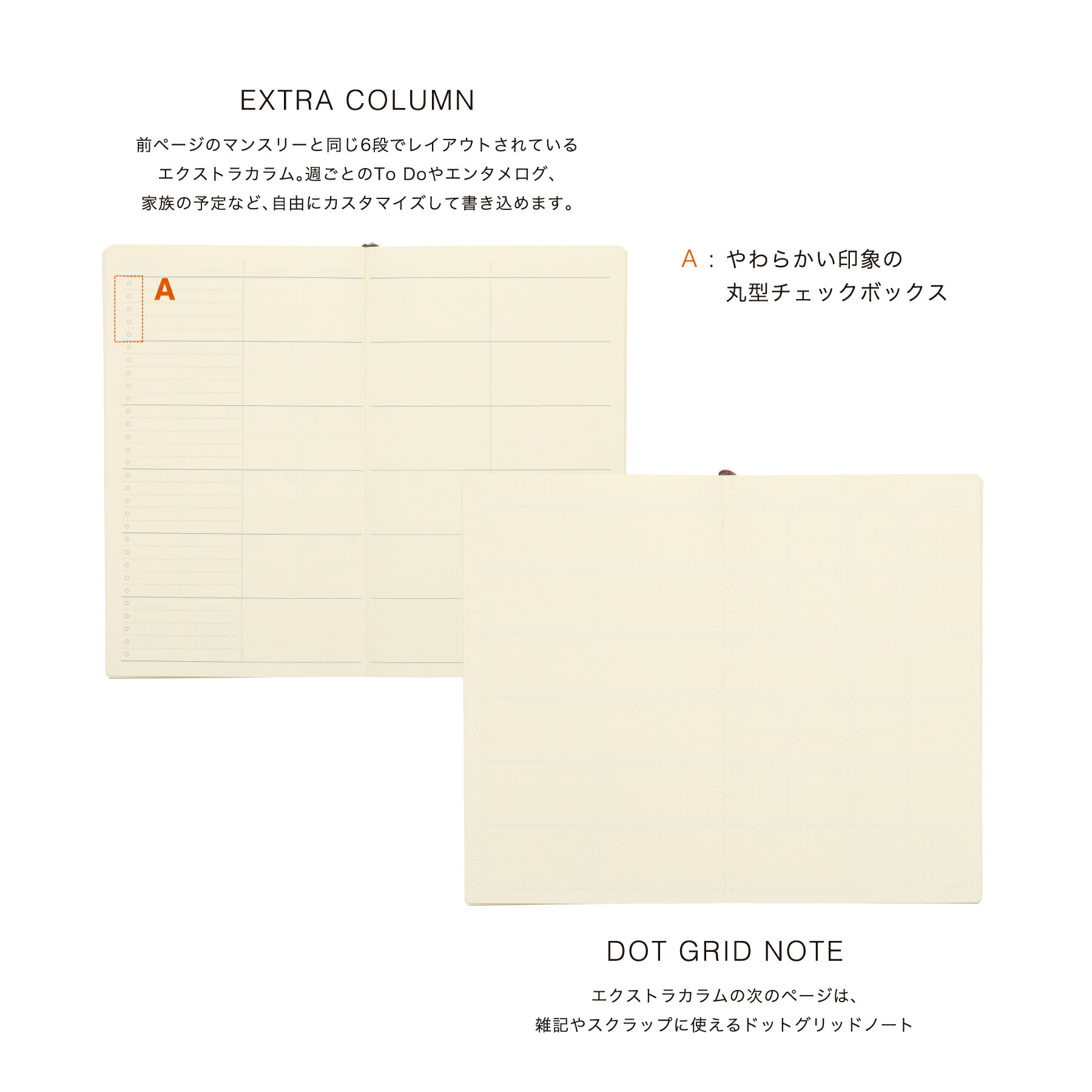 楽天市場】【セール】ハイタイド 手帳 2026 / レガーロ・パピロ / B6