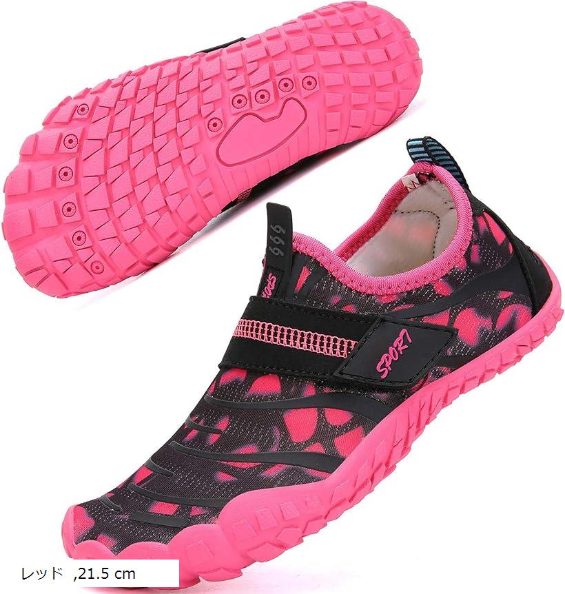 楽天市場】【楽天ランキング1位入賞】マリンシューズ ウォーター