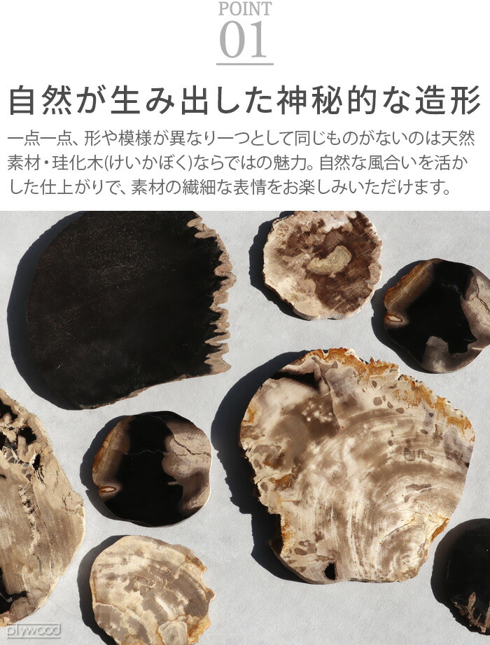 楽天市場】アクセサリートレイ 小物置き 珪化木 おしゃれアマブロ