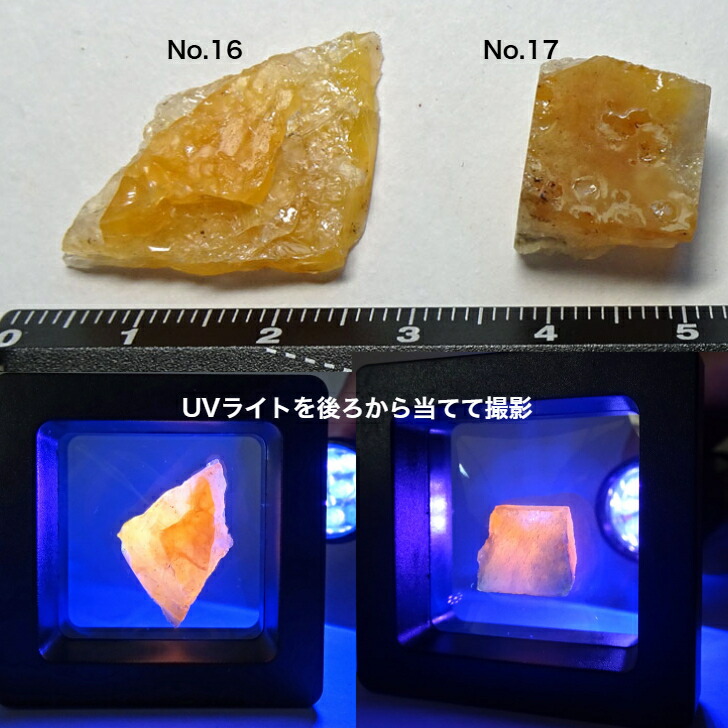 楽天市場】蛍光 オパール レア 北海道 オパール 原石 緊急追加 再再販