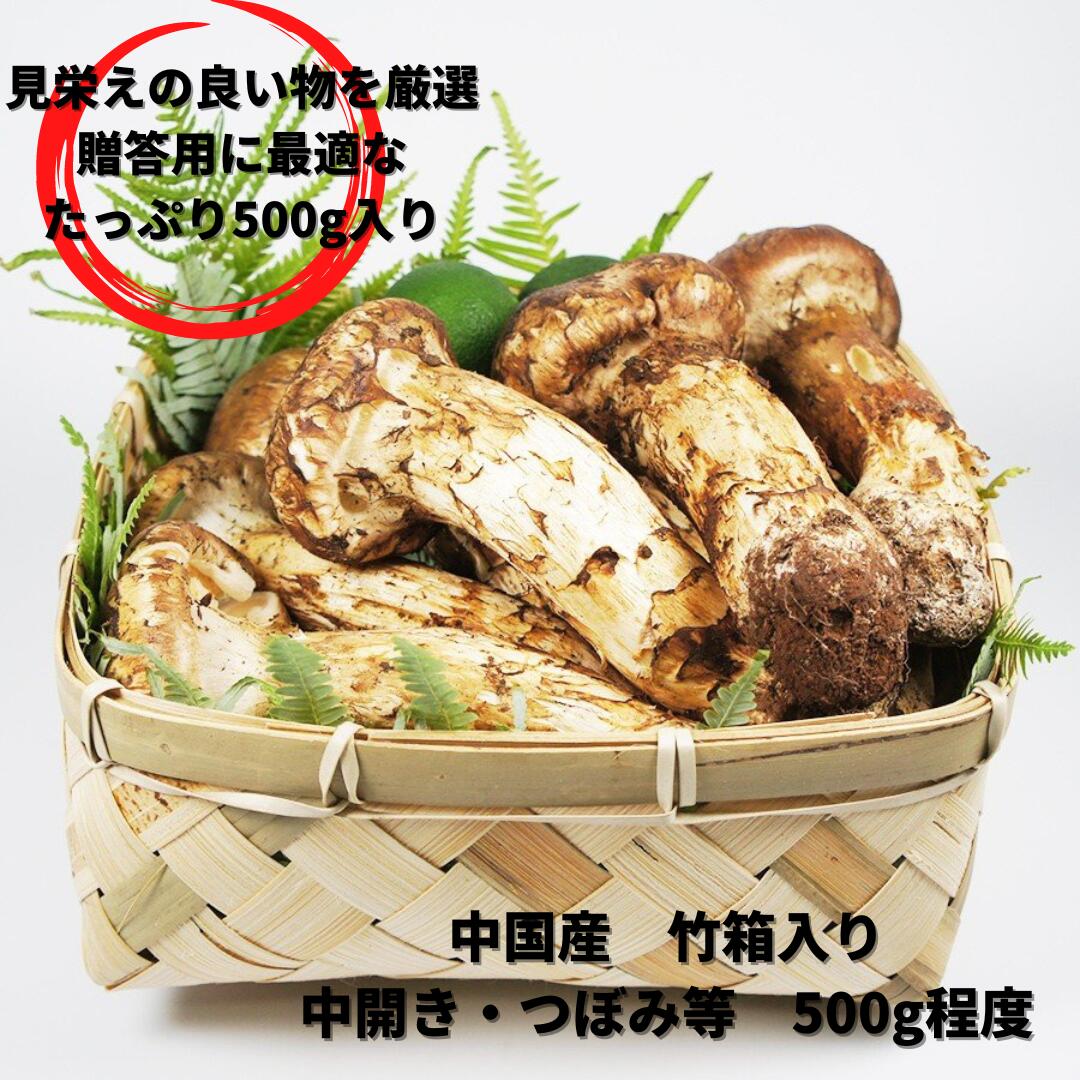 楽天市場】松茸 まつたけ 中国産 500グラム 特別贈答用 ギフト用 竹