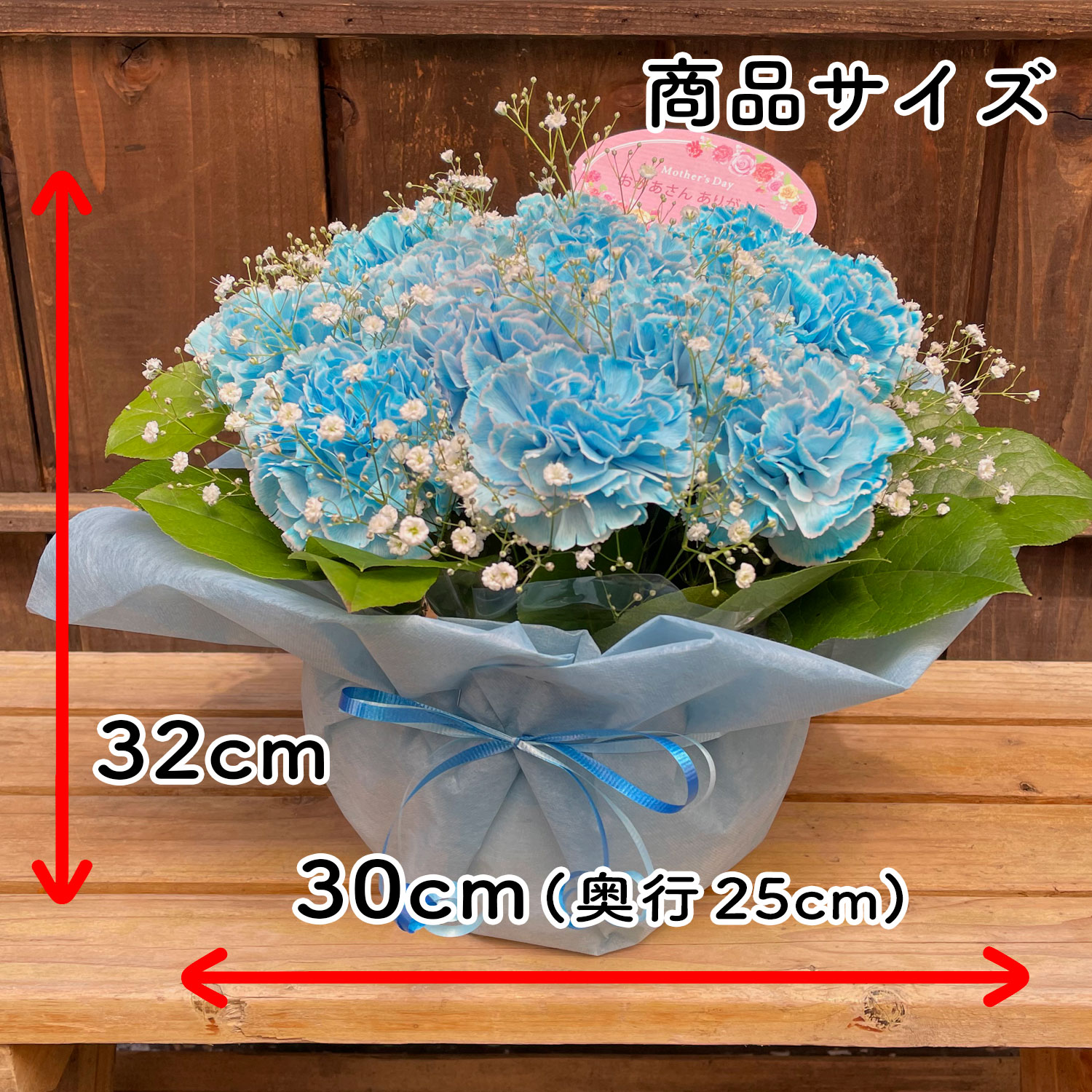 楽天市場】【母の日ギフト】 スカイブルーカーネーション 水色 優しい