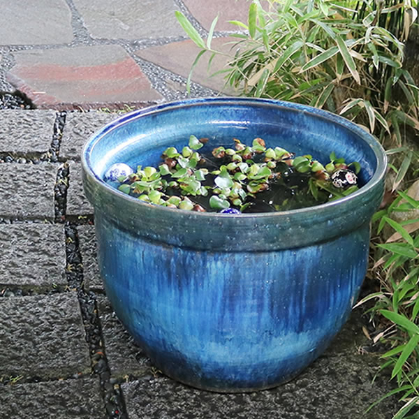 楽天市場】【今だけ限定15%OFFクーポン配布中】スイレン鉢 大型 陶器