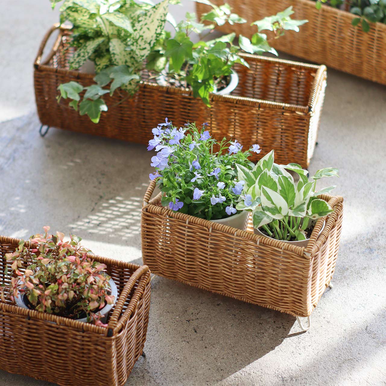 楽天市場】【公式】 鉢カバー ポットカバー プランター 3号鉢 長方形 L