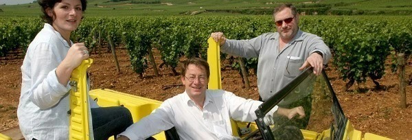 コルトン シャルルマーニュ グラン クリュ 特級 ディアマン ジュビリ