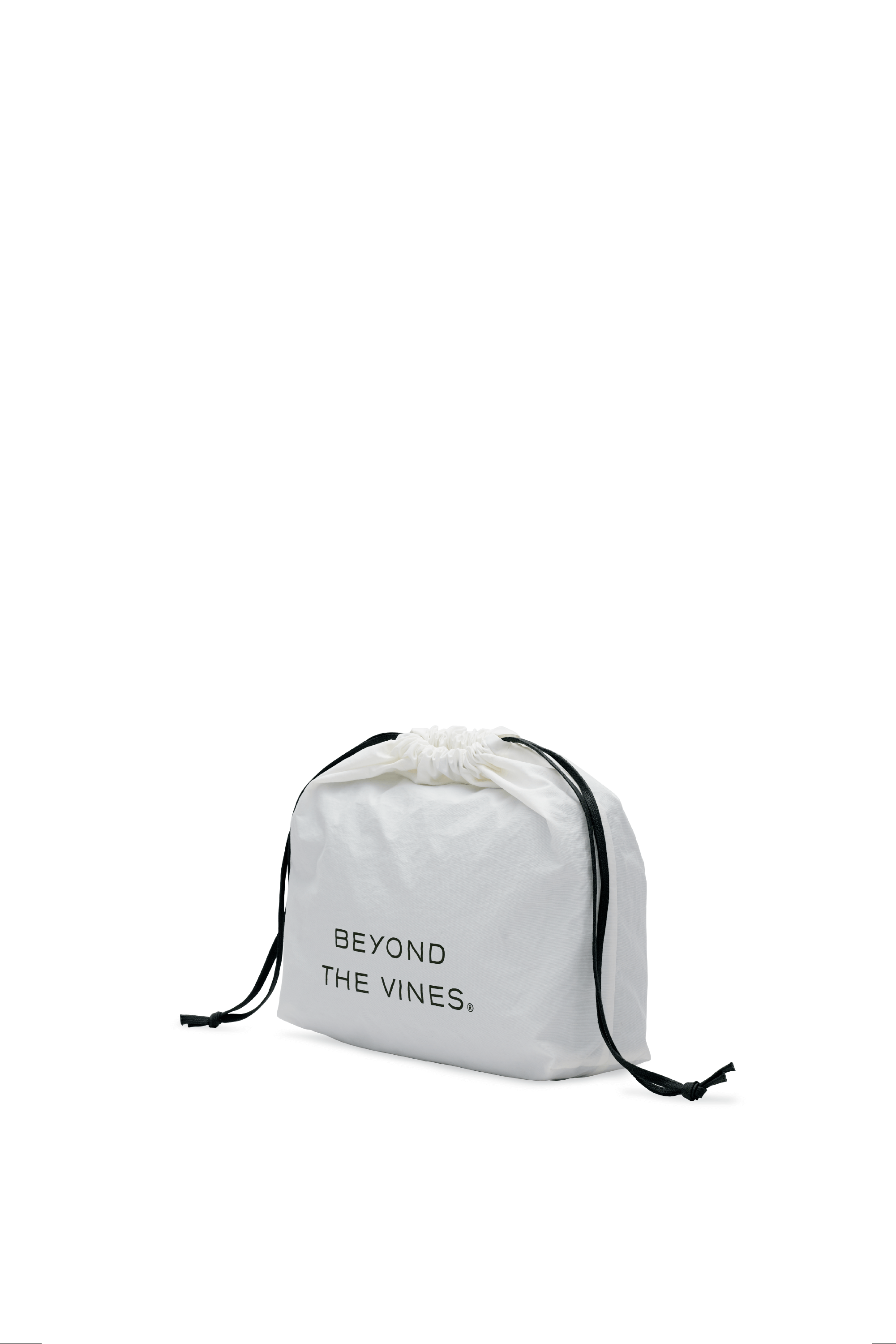 POOFYBAG_BLACK_07.png?v=