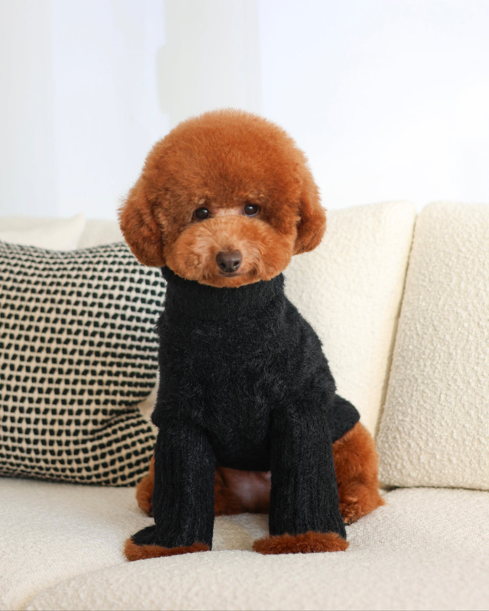 Black Eyelash Knit | Adorable, Affordable Dog Sweater – FURB