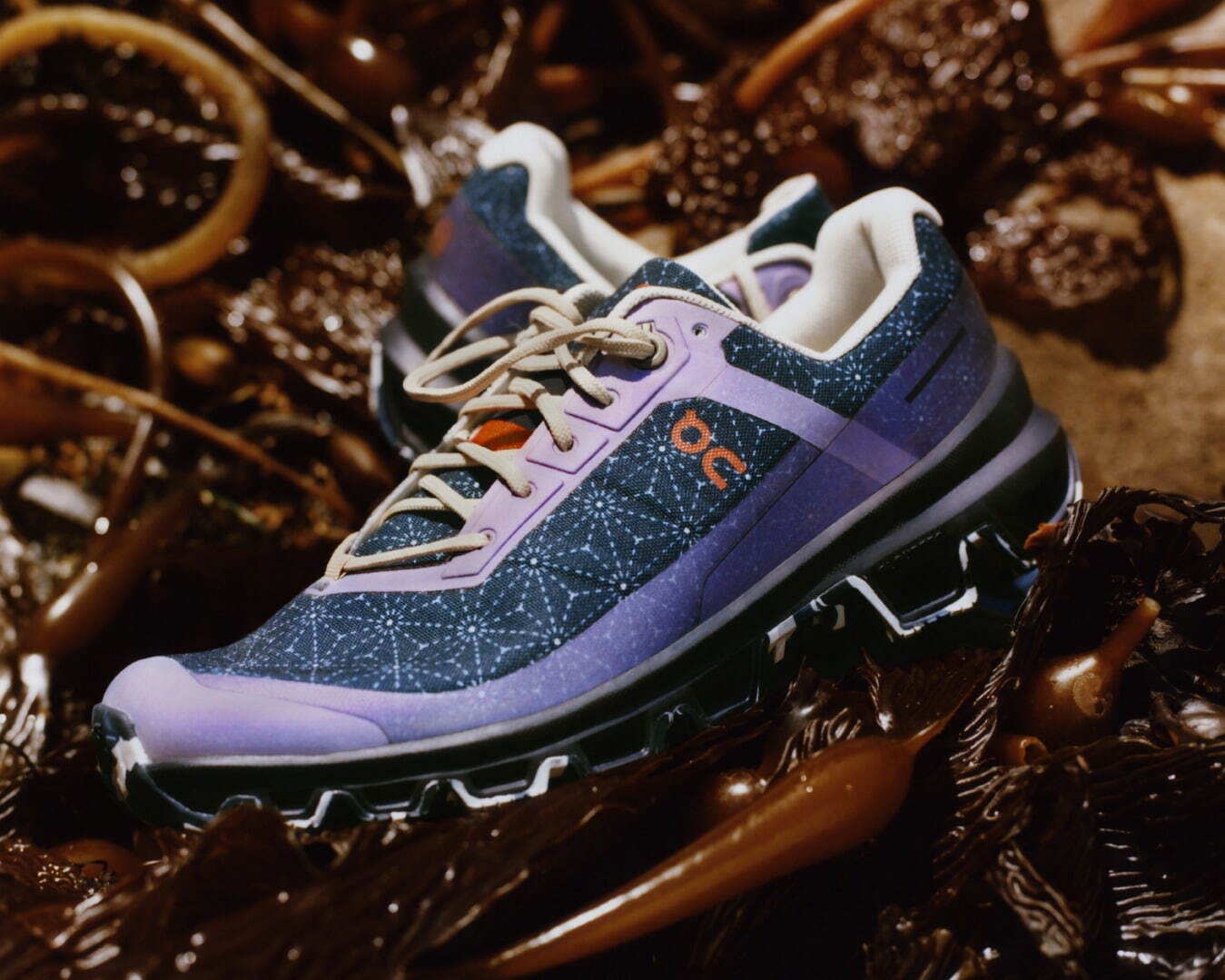 写真34/63｜ロエベがスイス発「オン」とコラボ、グラデーション色の