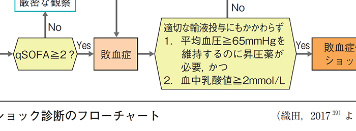 口腔外科学 第4版 正誤表／補足情報／医歯薬出版株式会社