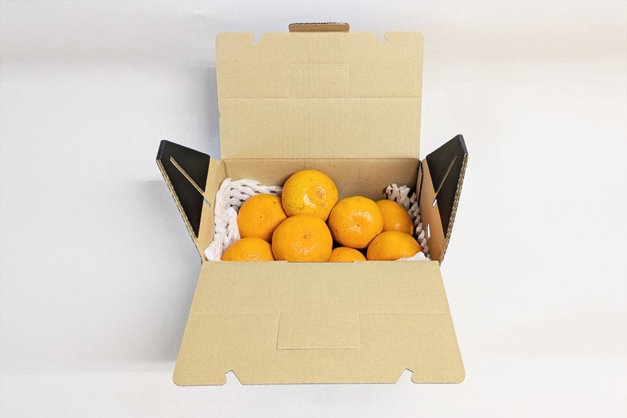 ご家庭用】千光士農園 西南のひかり: とさのさとアグリコレット|【JA