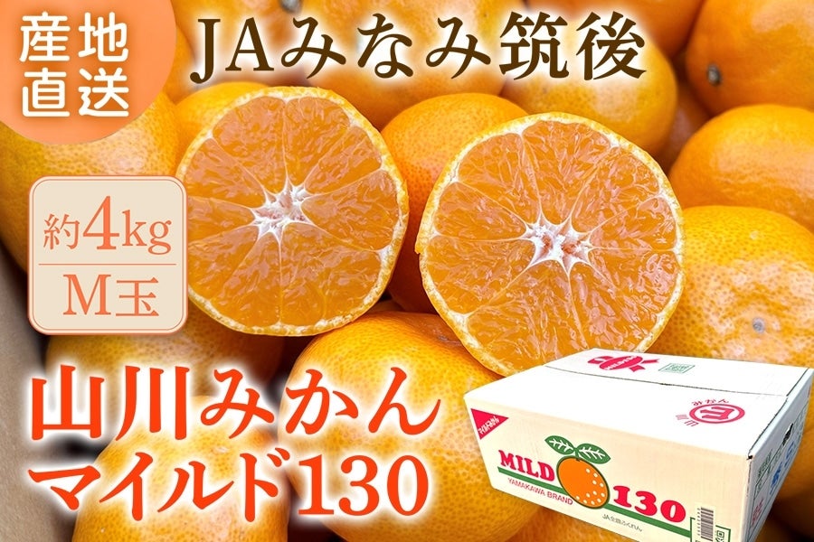 お歳暮】◎JAみなみ筑後 山川みかん『マイルド130』M玉 約4㎏ ※11月30