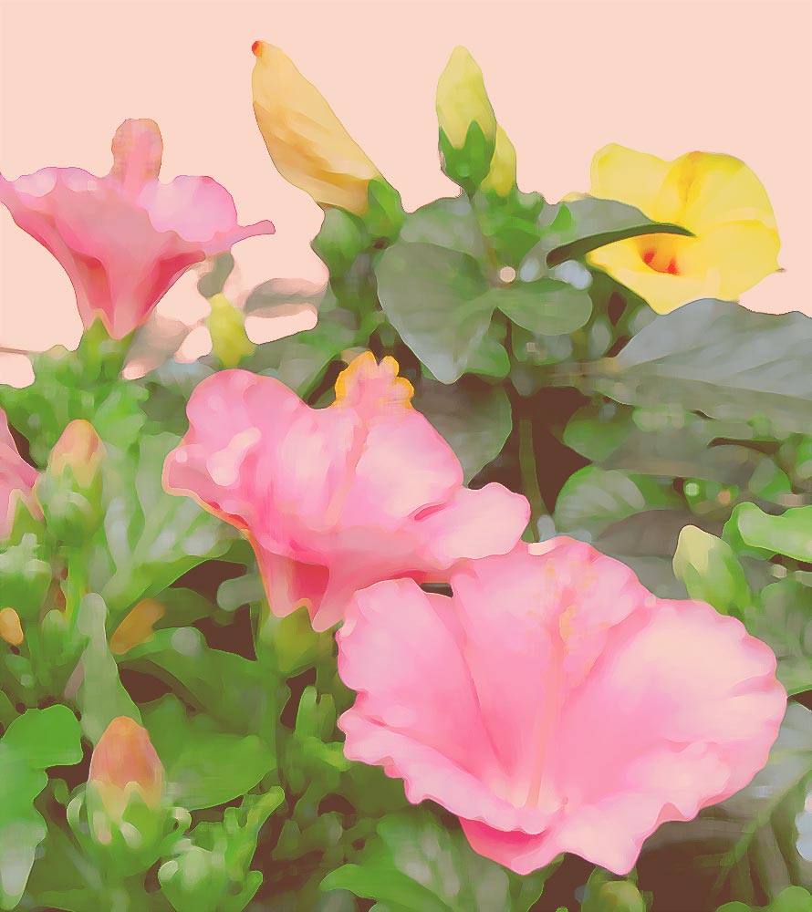 藤城清治 オフセットリト 湿原のミズバショウとこびと 額装 60 正方形