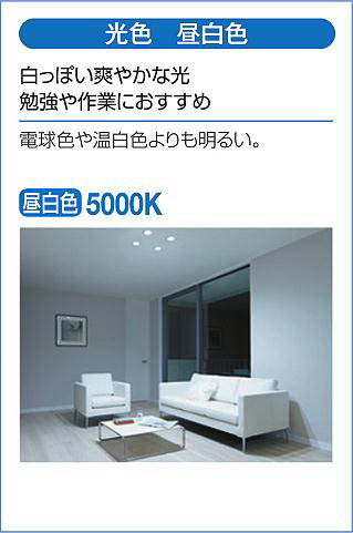 DAIKO 大光電機 ダウンライト(軒下兼用) DDL-6102WS | 商品紹介 | 照明