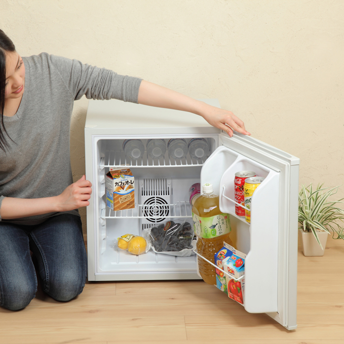 ペルチェ式 48リットル 1ドア電子冷蔵庫 SR-R4805V2 | SunRuck