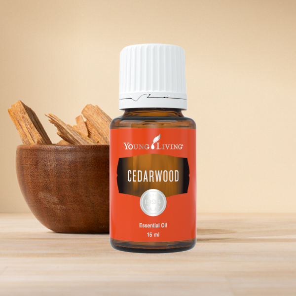 10％OFF 今月の注目製品！｜人気の香りとグリーンオメガスリーが登場