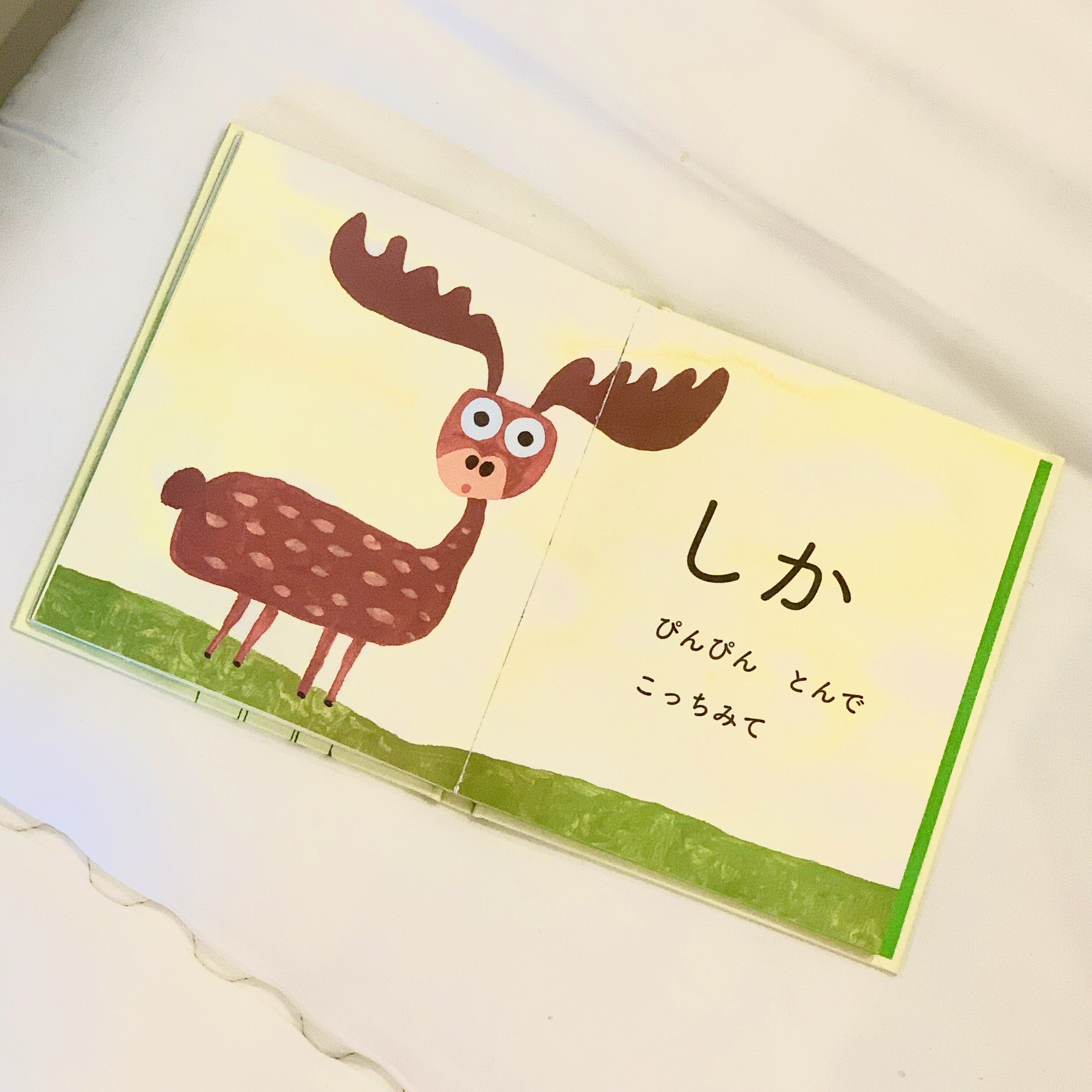 赤ちゃんに算数をどう教えるか グレンドーマン ドッツカード 書籍 DVD