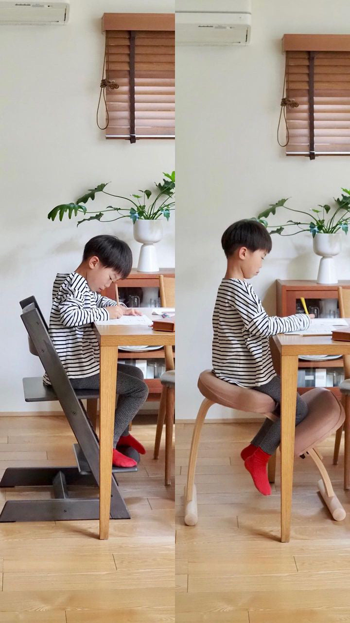 Balans Easy バランスチェア イージー 姿勢矯正 サカモトハウス