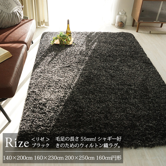 毛足55mm シャギー好きのためのウィルトン織ロングシャギーラグ 『リゼ