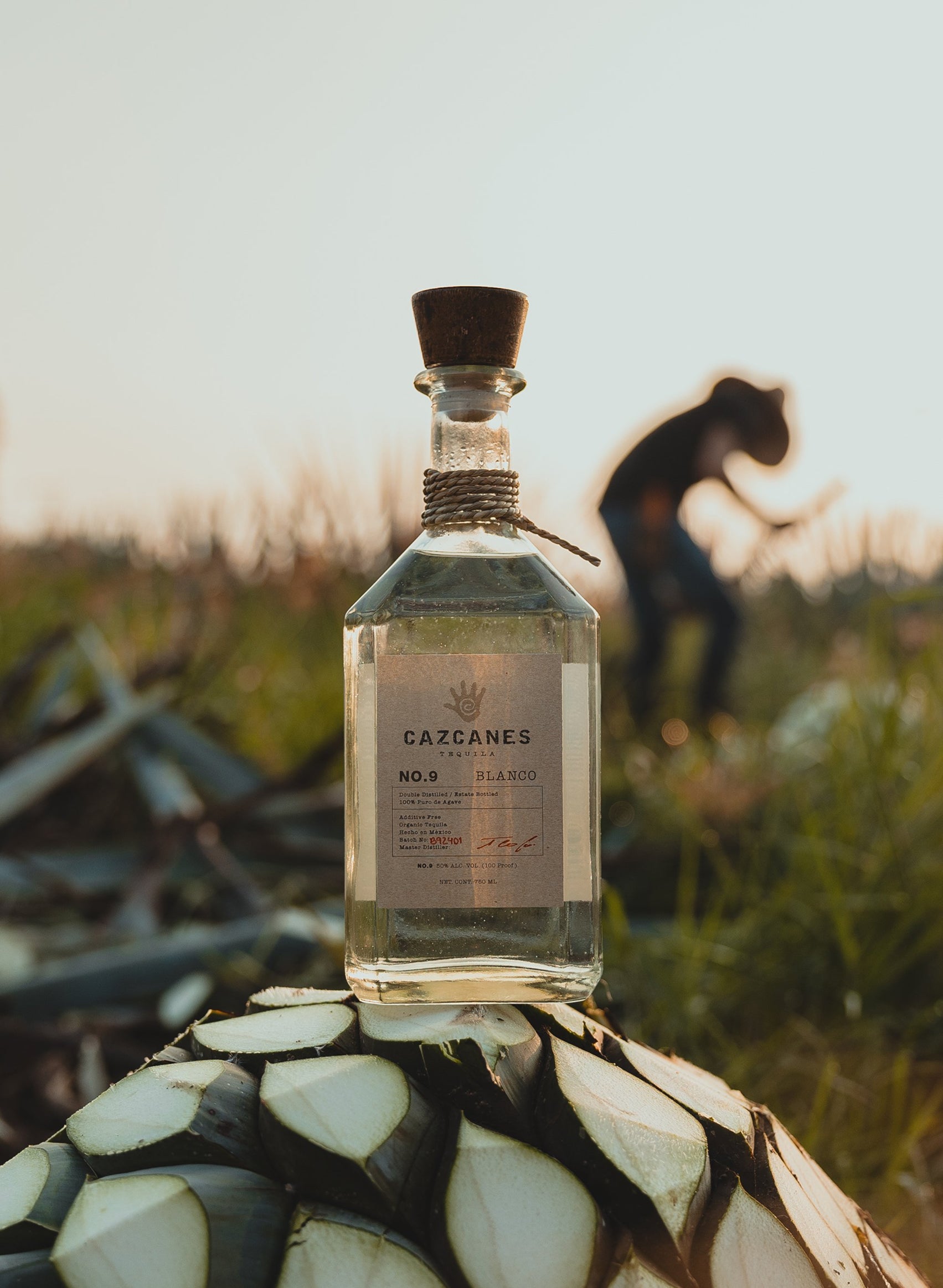 No. 7 Blanco – Cazcanes Tequila