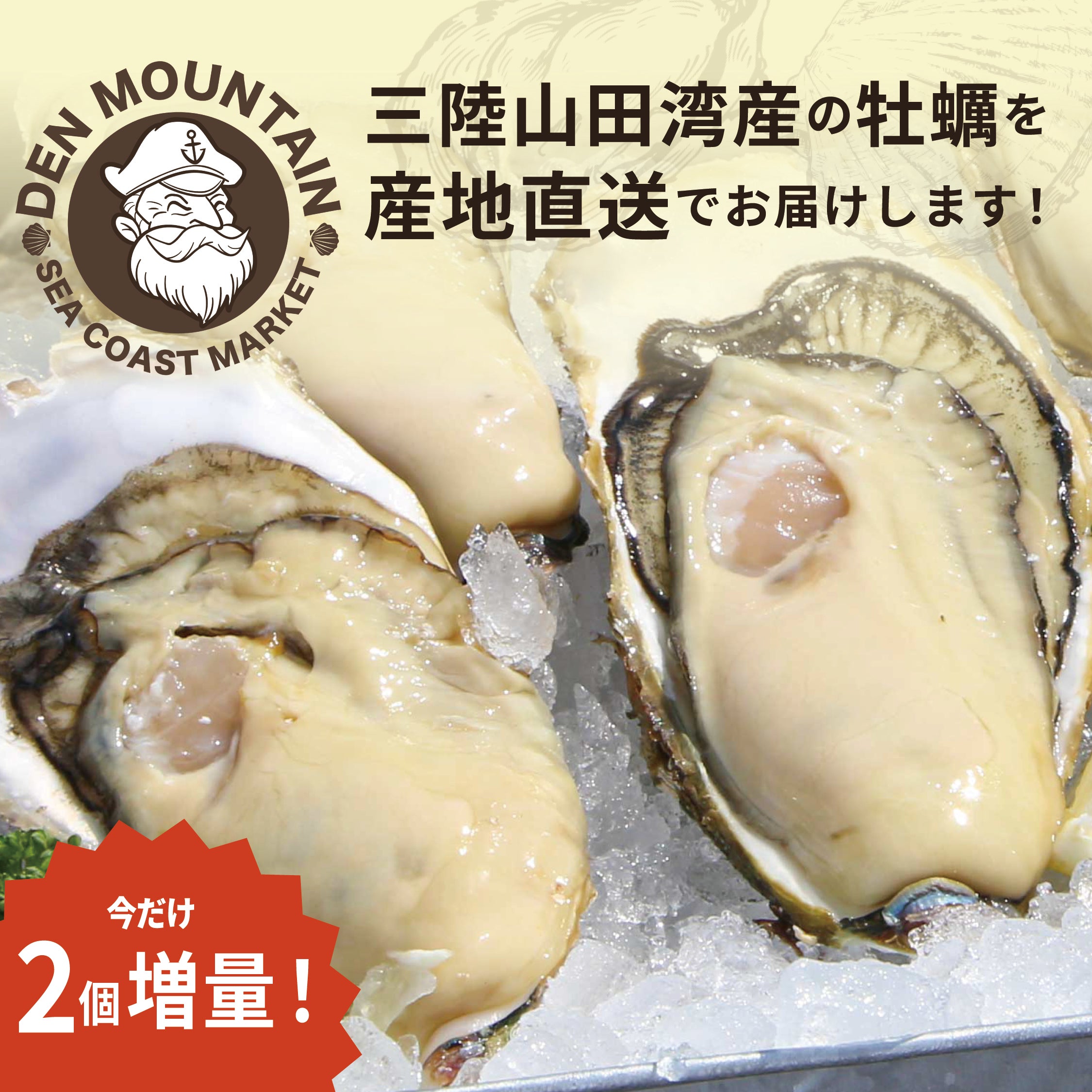 岩手県山田町産｜生食用 殻付き牡蠣30個 | DENMOUNTAIN