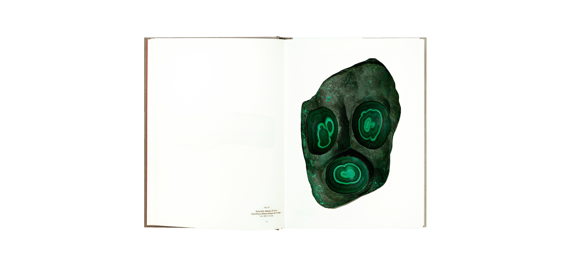 Roger Caillois, la lecture des pierres - Atelier EXB