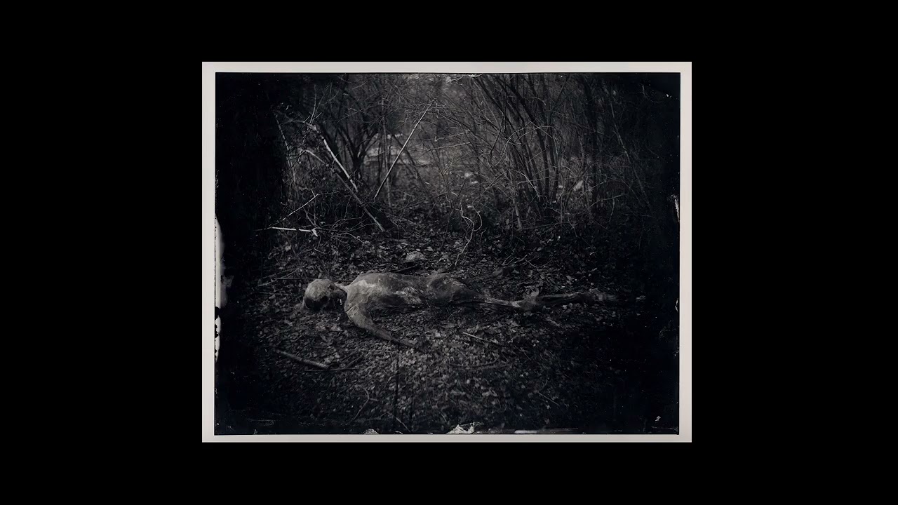 What Remains Sally Mann - YouTube