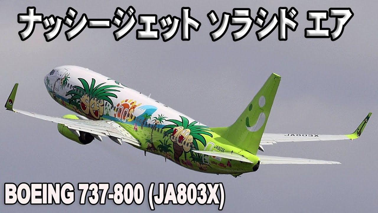 ソラシド エア ナッシージェット（JA803X）Solaseed Air Boeing 737