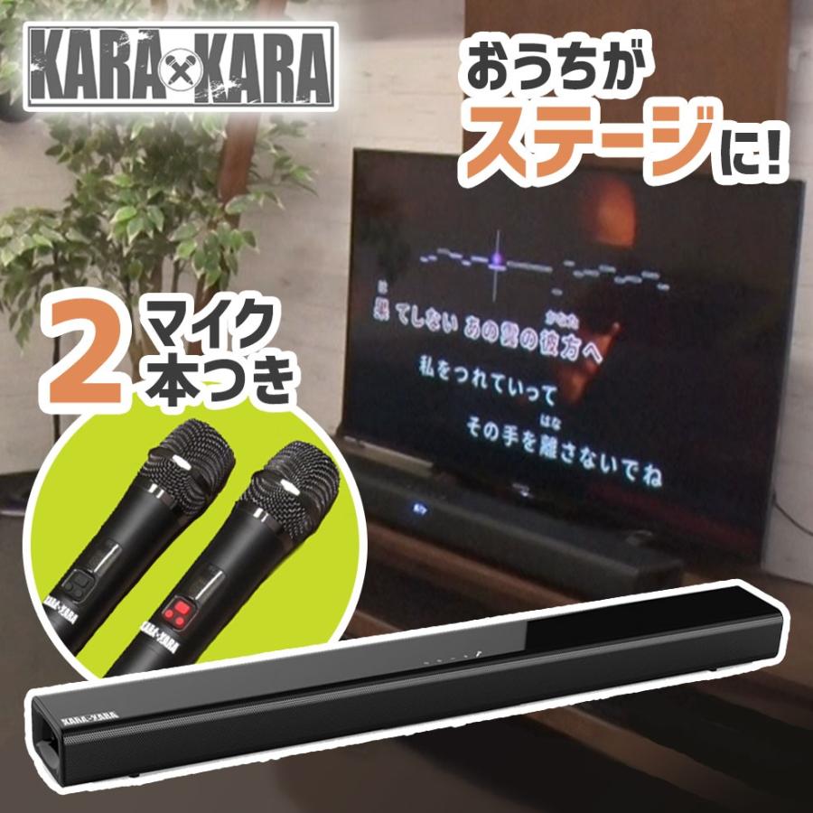 共同テレビジョン KARAxKARA（カラカラ）カラオケサウンドバー 家庭用