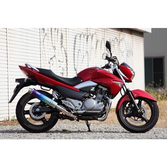 REALIZE（リアライズ） Realize GSR250 バイクマフラー JBK-GJ55D 2012