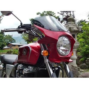 ワールドウォーク（WORLD WARK） CB1100 ビキニカウル DS-01 タイプR