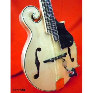 調整済 Aria アリア AM-20E AM20E PU搭載 フラットマンドリン エレキ