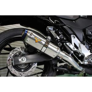 Vストローム Vストローム250 ABS バイクマフラー 2BK-DS11A 2017年