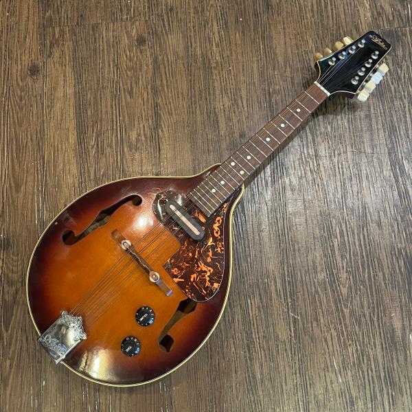 ARIA（アリア） Aria AM-200E Electric Mandolin フラットマンドリン