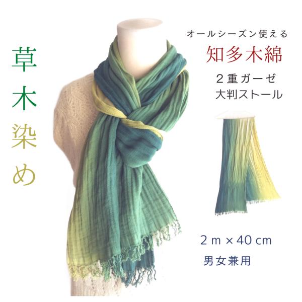 sekkasibori_3-1green3