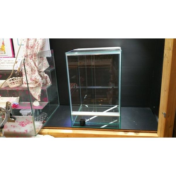 Rain Forest パルダリウムケージpro PCP3045 : RED FAIRY - 通販