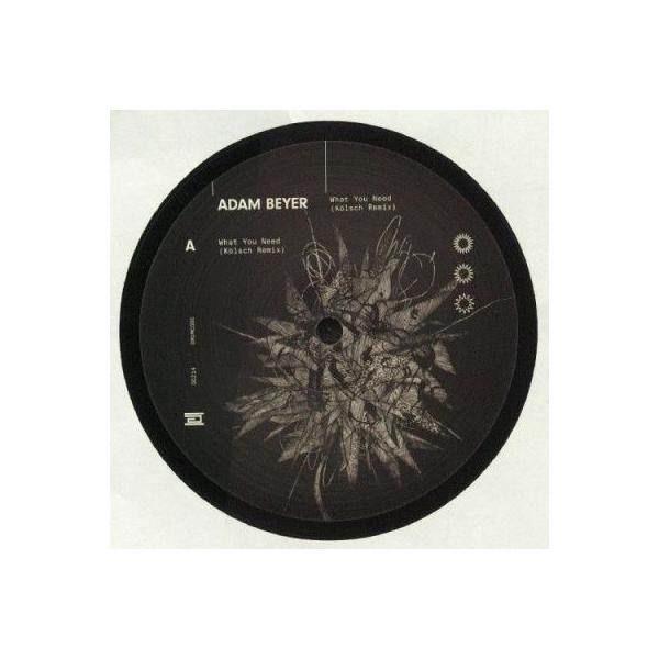 Adam Beyer What You Need 12inch Single : タワーレコード Yahoo!店