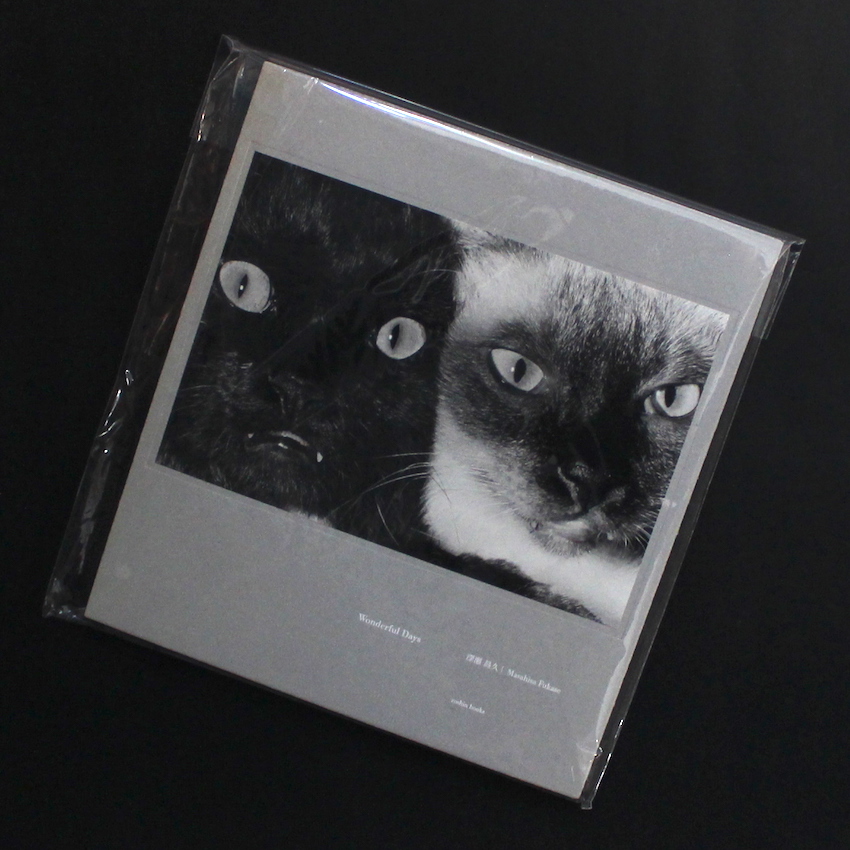 Wonderful Days - 深瀬 昌久 / Masahisa Fukase