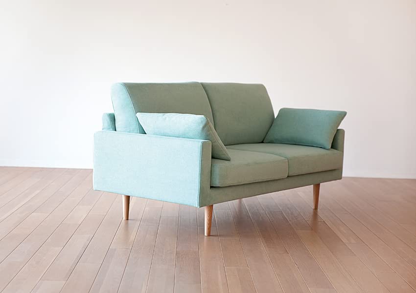 Amazon｜高野木工 LEO レオ ソファ 2.5人掛け ライトブルー 脚