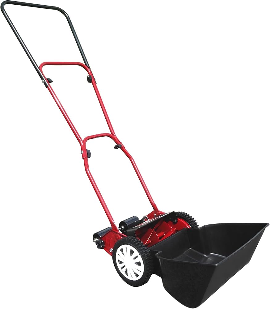 Amazon.co.jp: キンボシ(Kinboshi) ゴールデンスター 「安心・安全