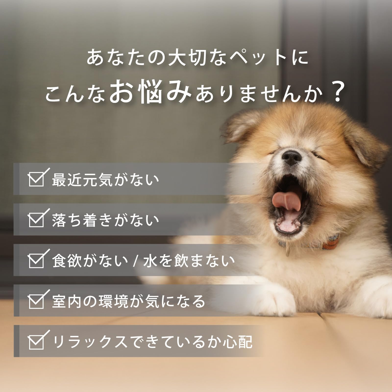 Amazon | ペット用 ストレスケア マット 【 animal protect mat